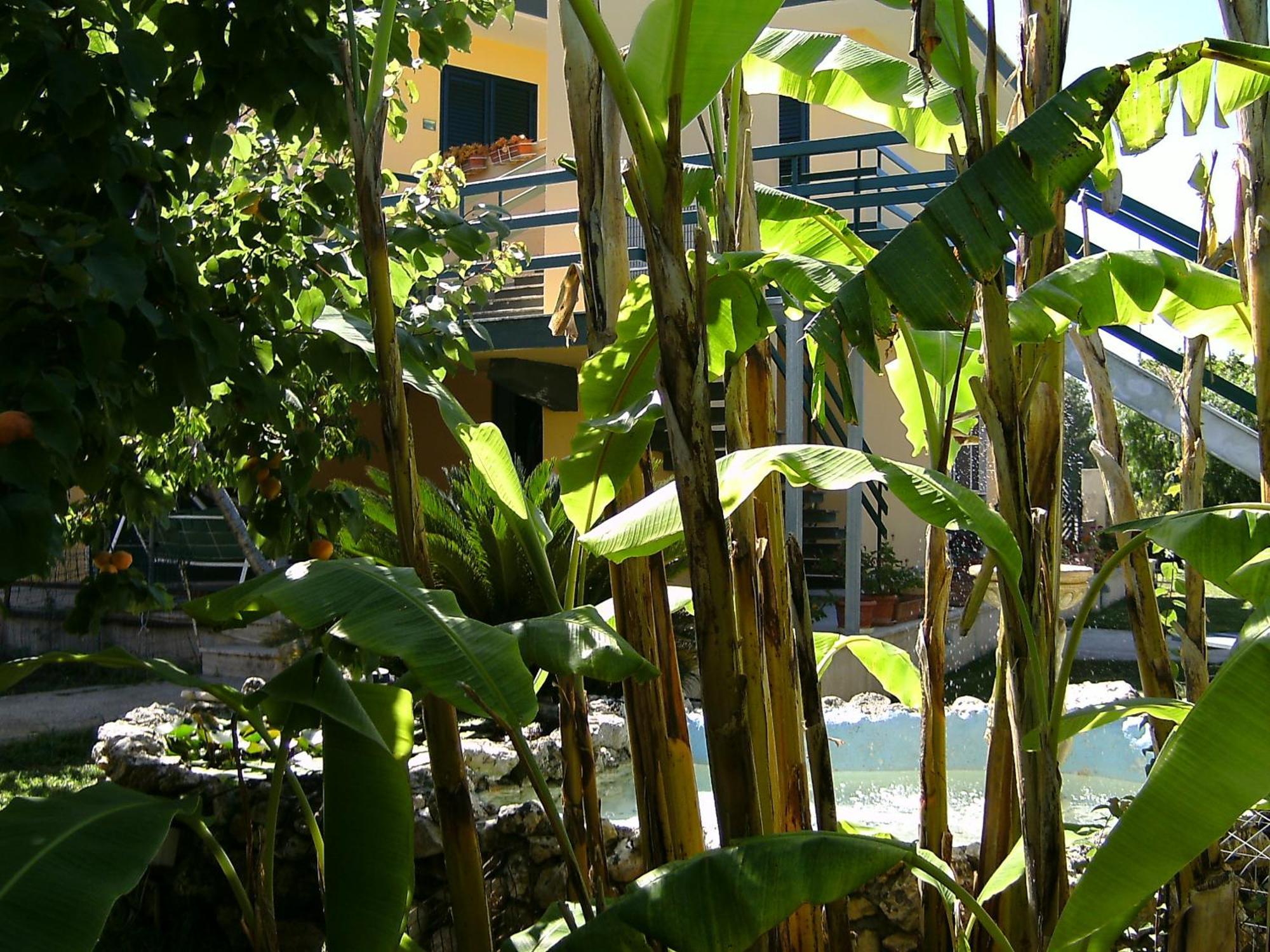 산카탈도 Vento Dell'Est B&B 외부 사진